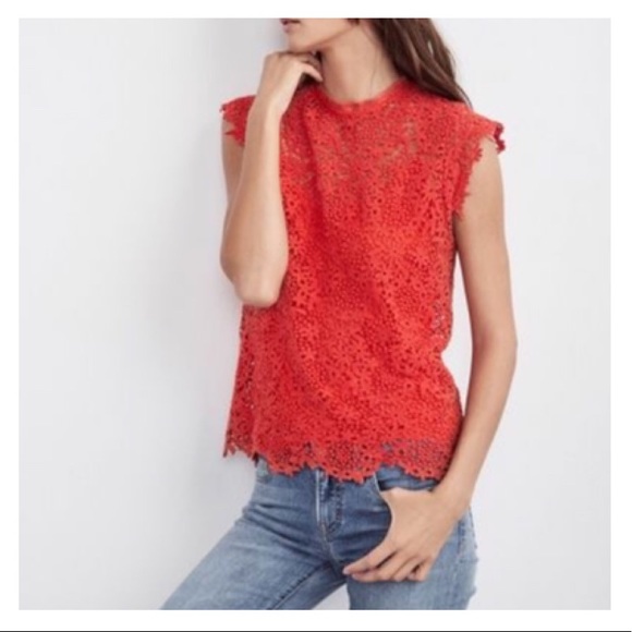 Velvet By Graham & Spencer Lace with Cami Top